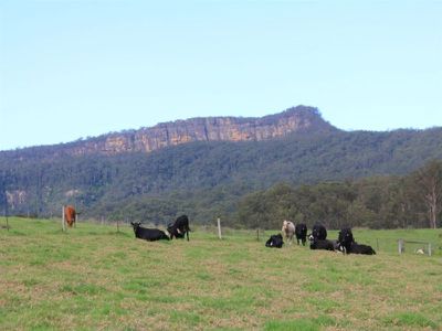 2286D 2286D Moss Vale Road, Kangaroo Valley