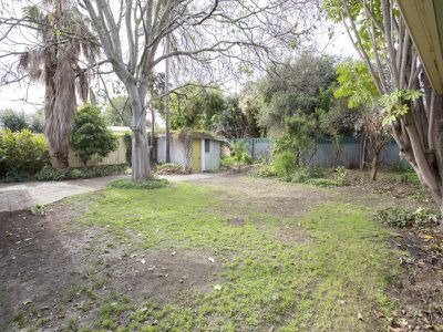 52 Malurus Avenue, Lockleys