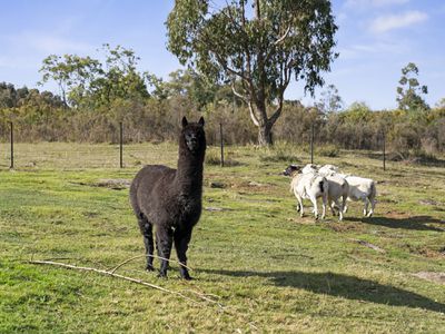 105 Lochiel Road, Barwite