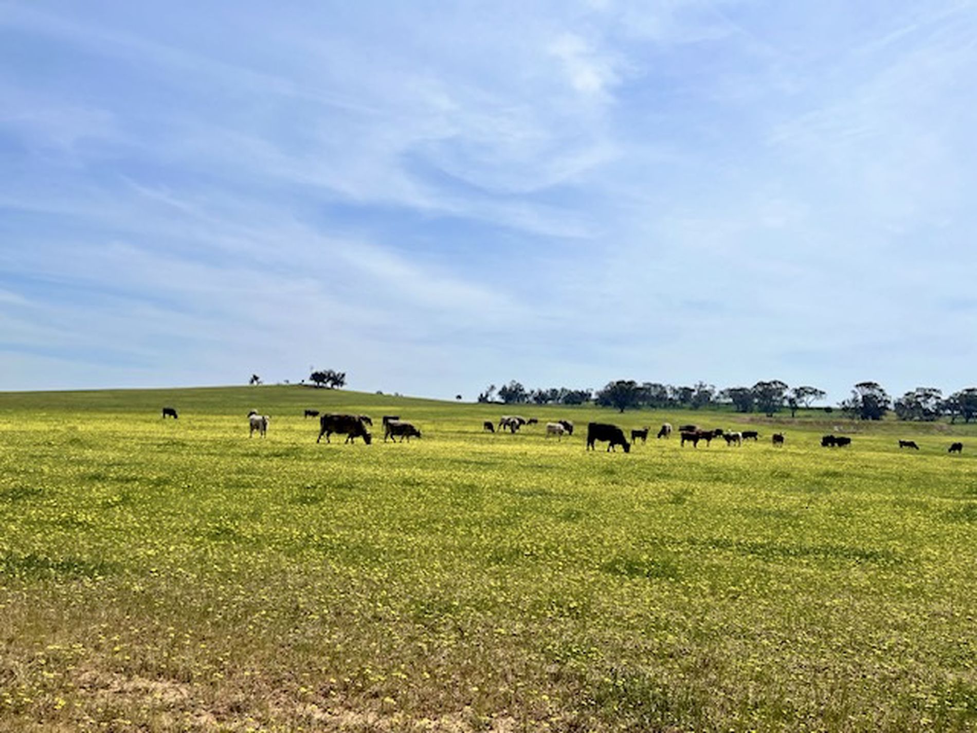 547 Bunmulling Road, Popanyinning