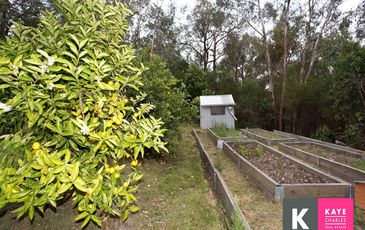 53 Lewis Road, Beaconsfield Upper