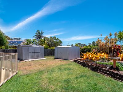 42 Ibis Boulevard, Eli Waters