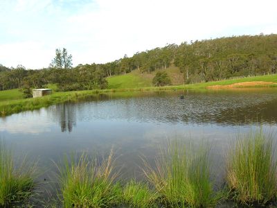 Office CO / Wens Road, Gardners Bay