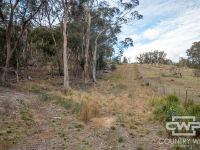 Lot 140, / Dellwood Road, Deepwater