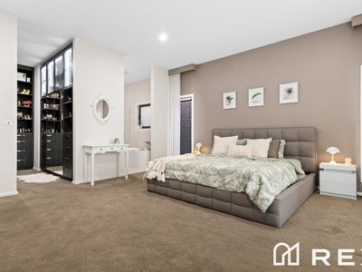 9 Springleaf Avenue, Clyde North