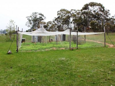 82 Burnie Lane, Wedderburn