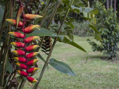 591 Bloomfield Road, Rossville