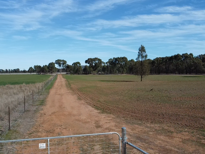79 Mercadool Lane, Bogan Gate