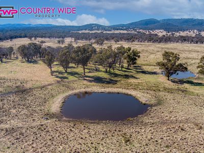 1929 New England Highway, Dundee