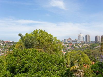 4 / 311A Edgecliff Road, Woollahra