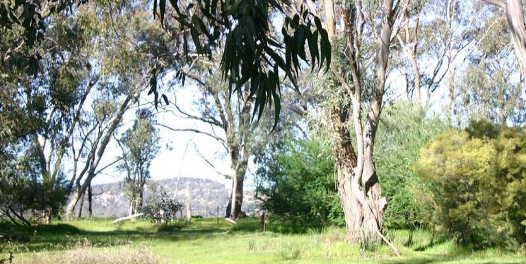 2 Hurley Street, Longwood
