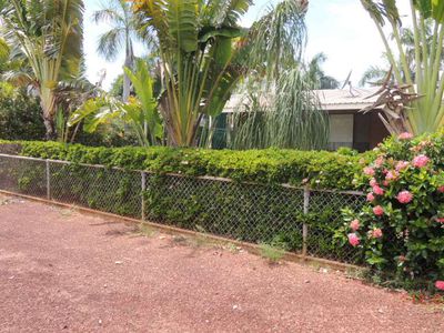 8 Water Lily Place, Kununurra