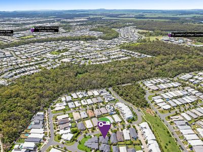 26 Bottle Brush Circuit, Coomera