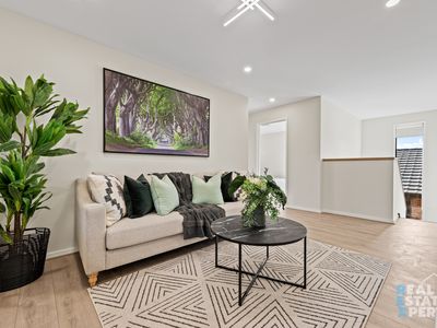 16 Heifer Avenue, Clyde North