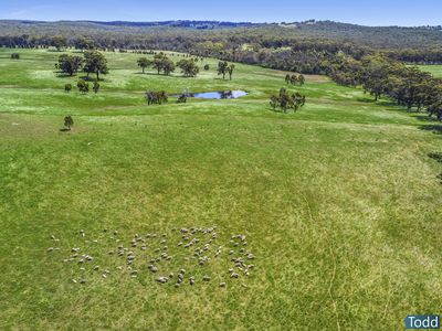 5600 Northern Highway, Tooborac