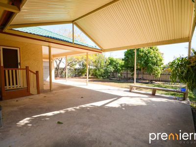 94 Buddleia Street, Inala