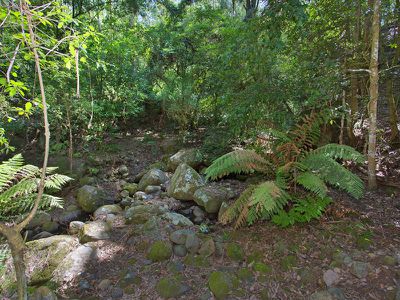 897 Upper Kangaroo River Road, Kangaroo Valley