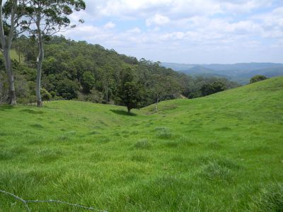126-162 Reesville Road, Maleny