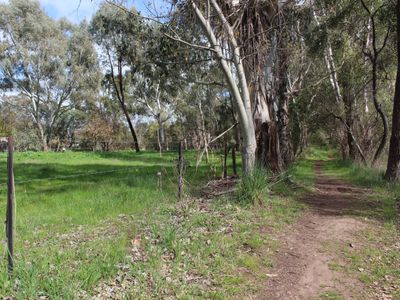 5 Rowe Street, Mansfield