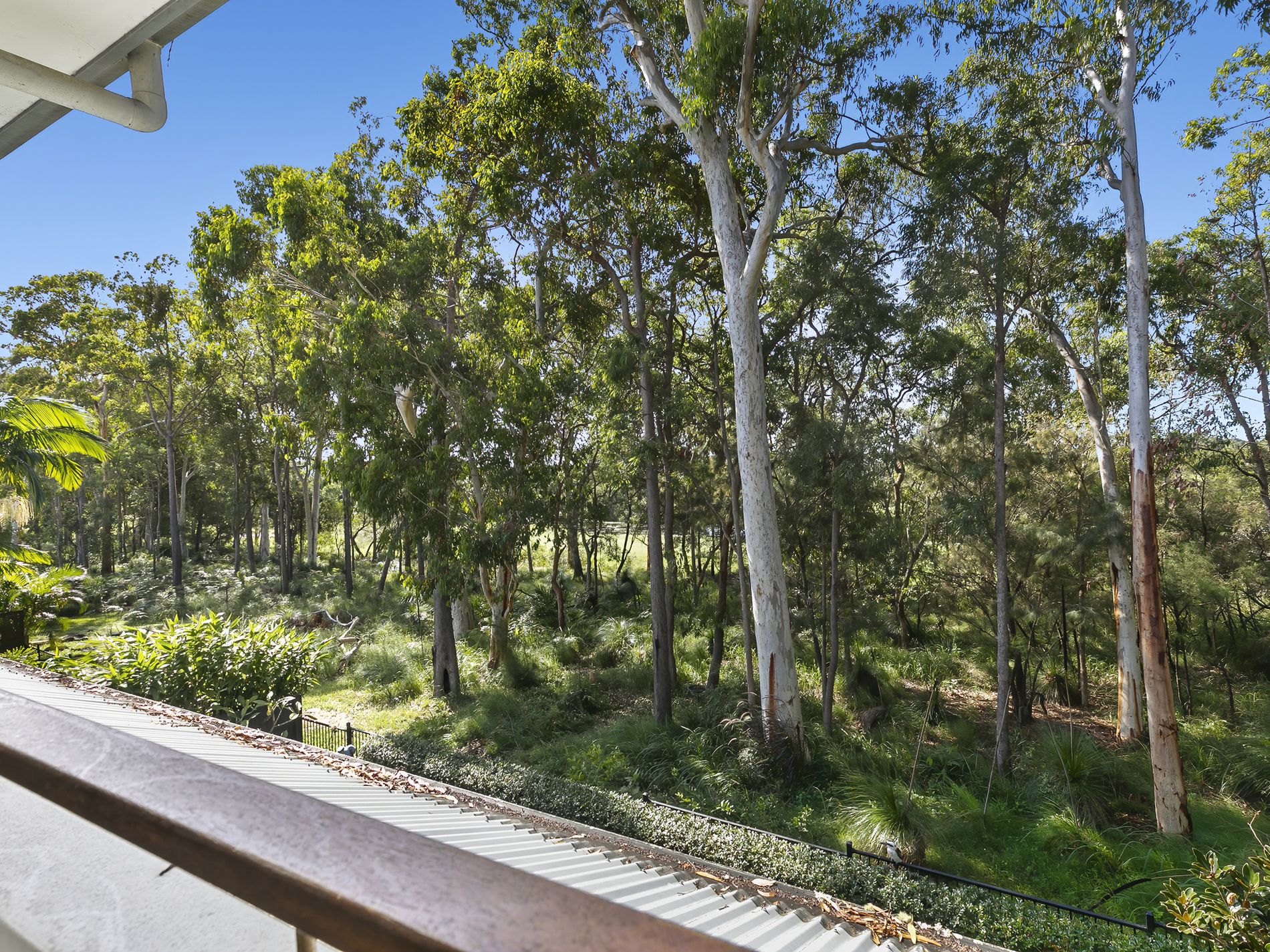 22 Lakeside Drive, Peregian Springs