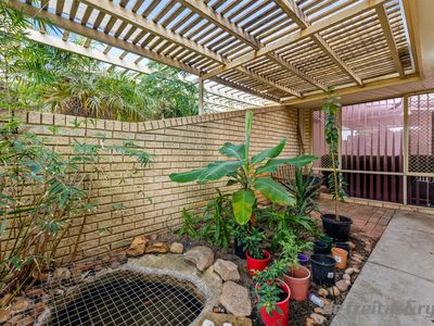 33B Willshire Way, Yangebup