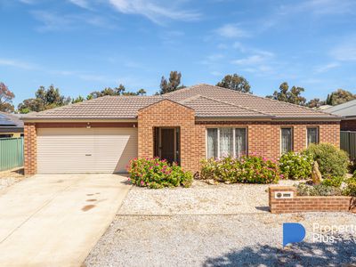 9 Irontree Close, Kangaroo Flat