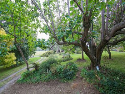 154 Loudens Lane , Tawonga