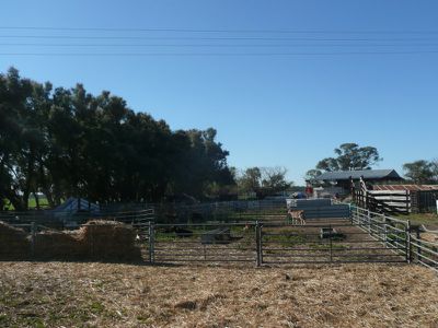Deniliquin Road, Barham