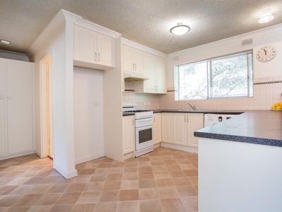 2 / 31 Everard Avenue, Ashford