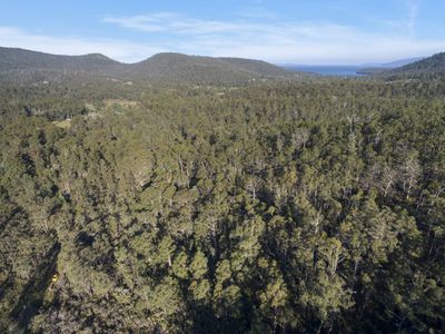 Lot 1, Pottery Road, Garden Island Creek