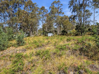 49 Laycock Drive, Interlaken