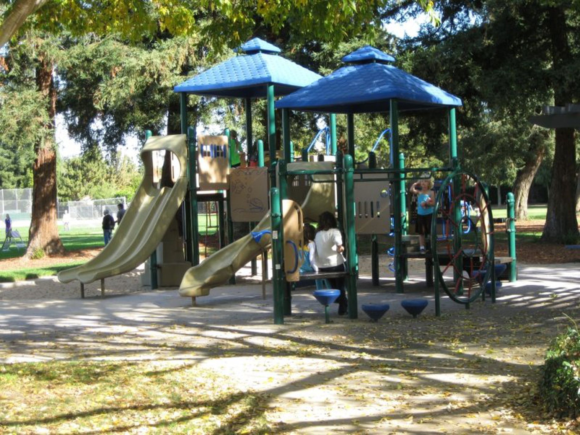 2 / 179 Victoria Road, Bellevue Hill