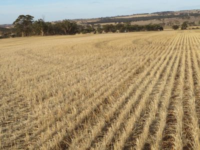 10352 / Cunderdin-Quairading Road, Cunderdin