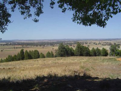 16L Kurrajong Drive, Dubbo