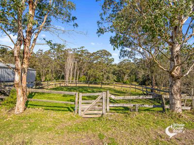 227 Princes Highway, Bodalla