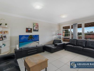 60 Ferngrove Road, Canley Heights