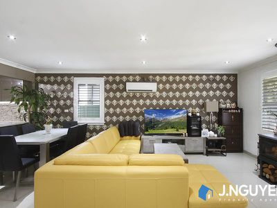 23 Facey Crescent, Lurnea