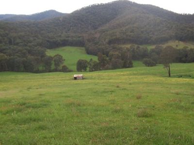 Rousseaus Road, Tallangatta Valley