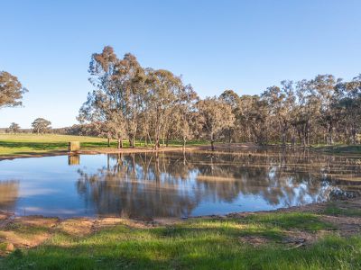 344 Rileys Road, Barnawartha