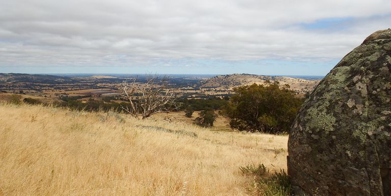 1209 Euroa Strathbogie Road Kelvin View, Euroa