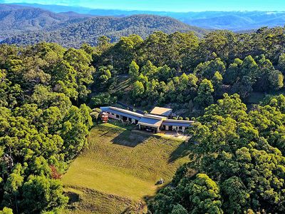 351 The Panorama , Tallai