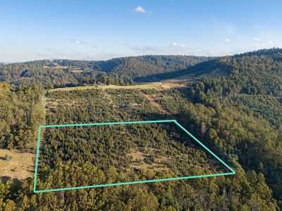 Lot 8 Paddys Lane, Franklin