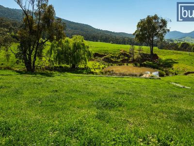 1161 Yackandandah-Dederang Road, Dederang