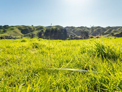 7 Maungakotukutuku Road, Paraparaumu