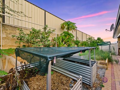 7 Tupelo Fairway, Clarkson