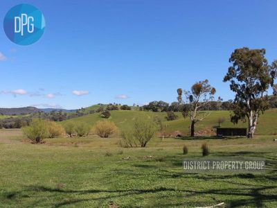 487 Old Tonga Road, Mansfield