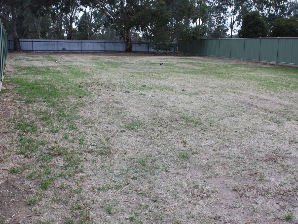 37 Ballintine Street, Benalla