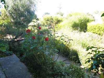 37 Wimble St, Seymour