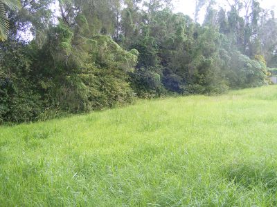 14 Victoria Place, Forster