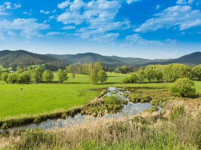 3803 Omeo Highway, Eskdale